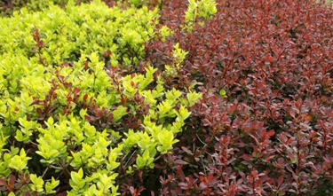 四川省宜宾卫生学校2020招生简介及计划