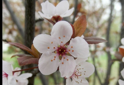 四川省宜宾卫生学校普通护理专业