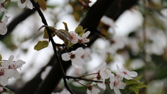 广元职工医学院护理专业