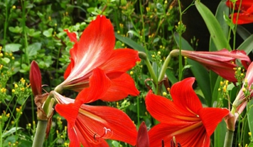 广元职工医学院宿舍条件及图片