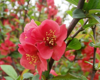 四川省宜宾卫生学校2020招生办电话及联系方式