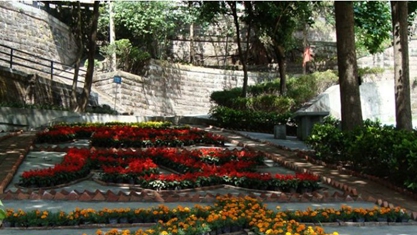 四川省法商专修学院2020报名时间及报名方式