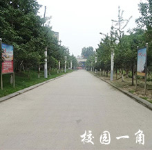 2020华达综合高中学校招生简介
