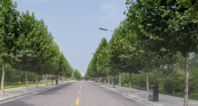 四川省阿坝卫生学校2020招生录取分数线