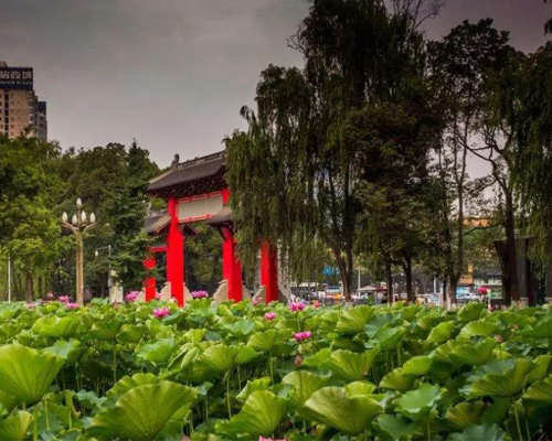 为什么要去成都市读书,答案在这里!