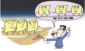 2020高考报考什么专业好