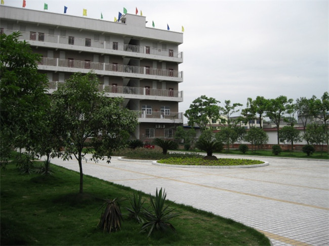 2025年乐山市欣欣艺术职业学校招生简章