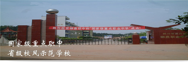 宜宾县柳嘉职业技术学校