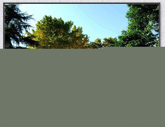 四川省档案学校