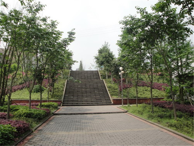 2025年重庆市北碚职业教育中心招生简章