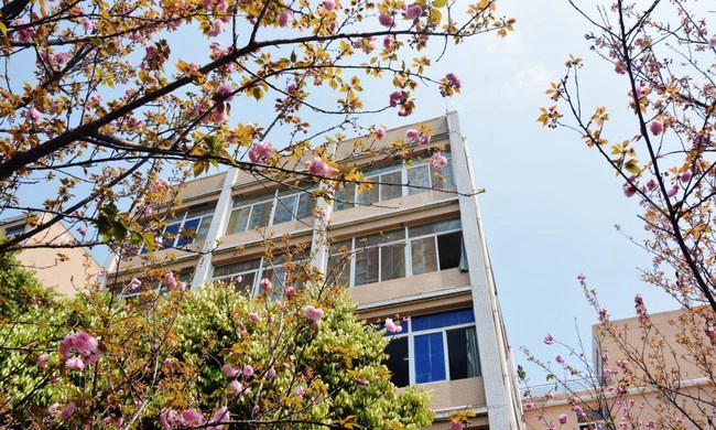 宜宾职业技术学院樱花园中的教学楼