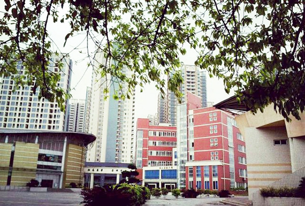 四川省卫生学校(四川护理职业学院)第二实训楼和体育馆（龙泉校区）