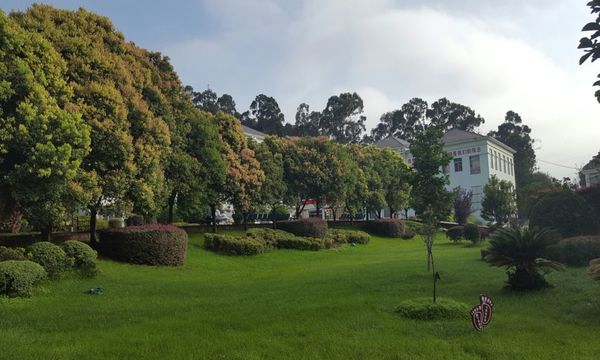 安宁市职业高级中学草坪