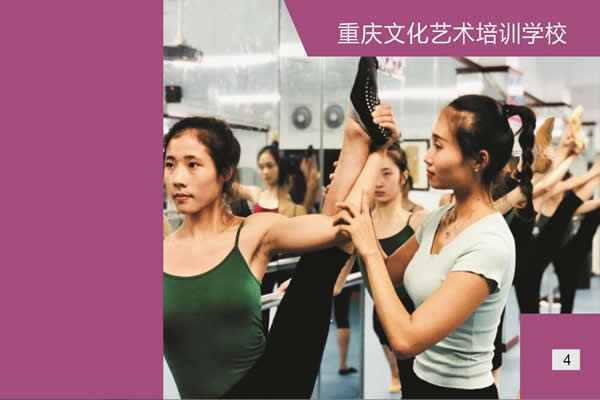 重庆工业管理职业学校艺术高考班招生（4）