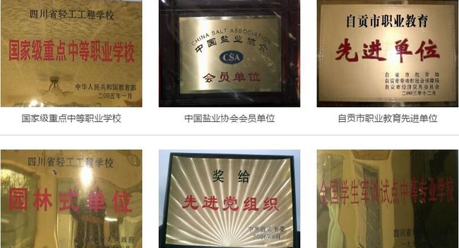 四川省盐业学校荣誉