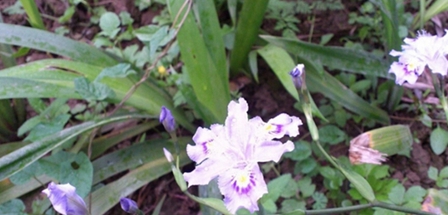 大理大学医学院医学影像技术专业