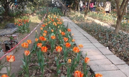 昆明理工大学医学院临床医学专业