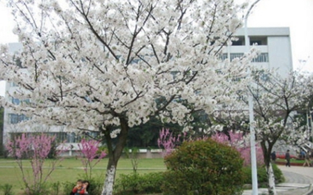 大理大学医学院药物制剂专业