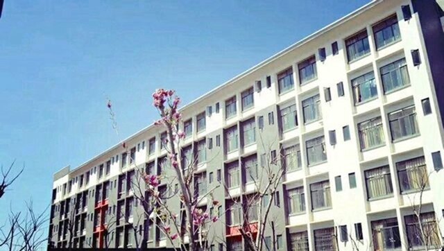云南城市建设职业学院汽车服务与营销专业