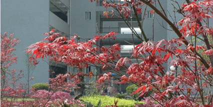 重庆三峡医药高等专科学校学校环境