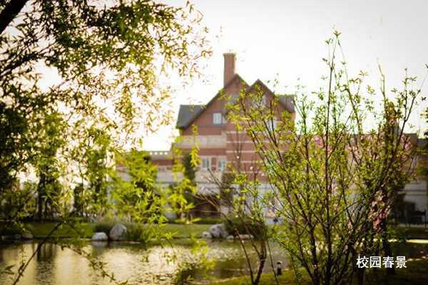 四川西南航空学校全景图
