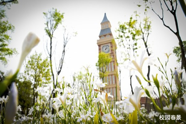 四川西南航空学校全景图