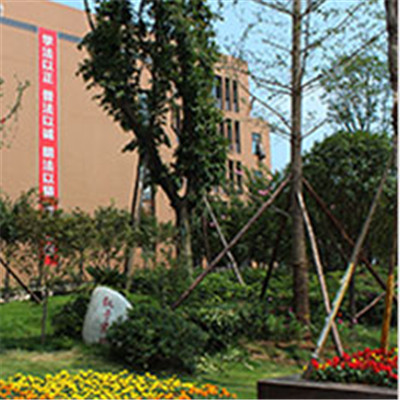 四川希望汽车技师学院招生简章