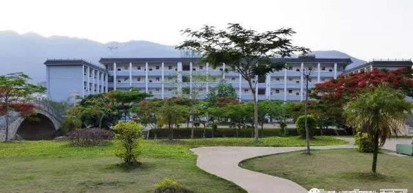 镇康县职教中心校园景色