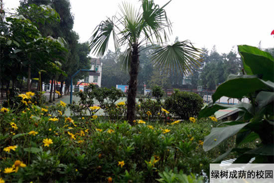 重庆红春藤技工学校招生简章