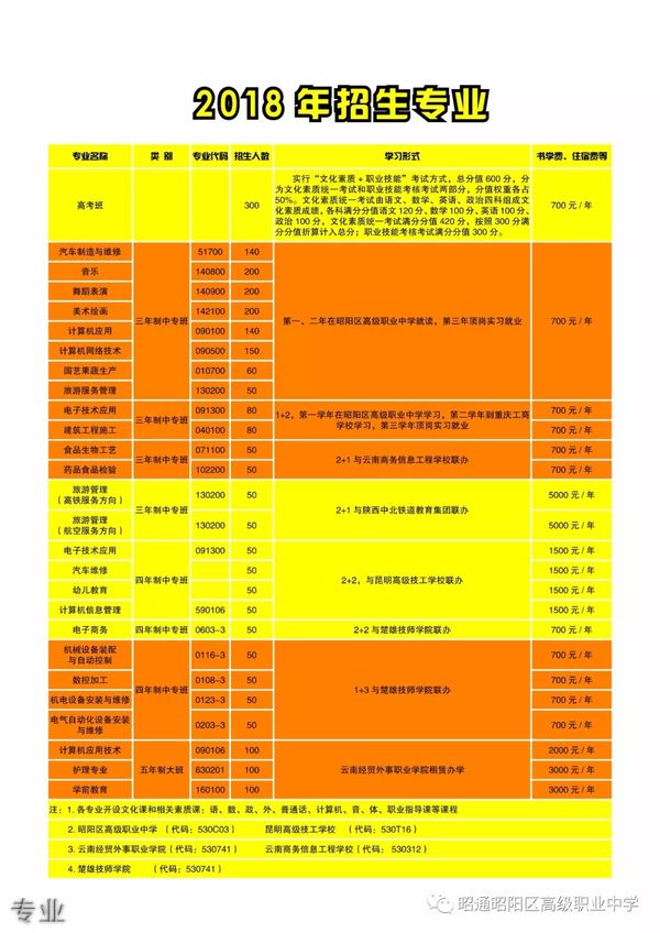 昭阳区高级职业中学专业
