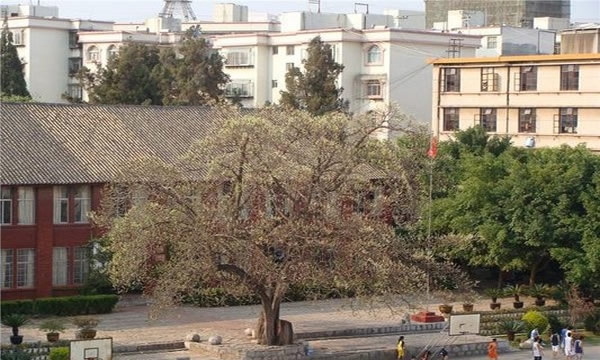 文山州工商信息管理学校