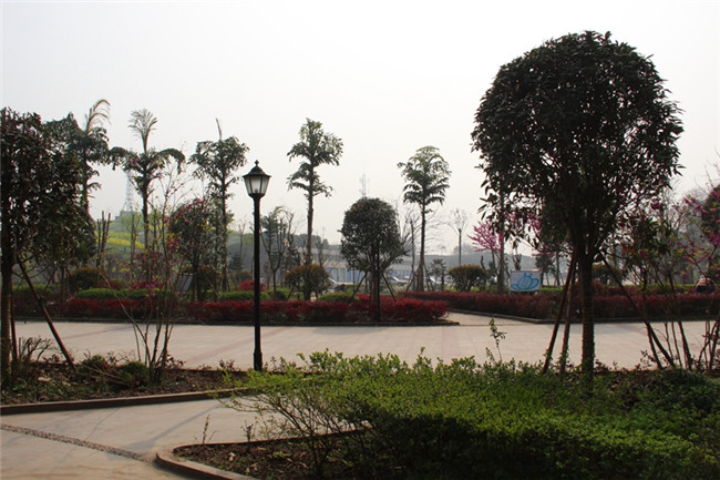 2025年重庆垫江县第一职业中学校招生简章