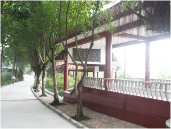 2025年重庆市行知职业技术学校招生简章