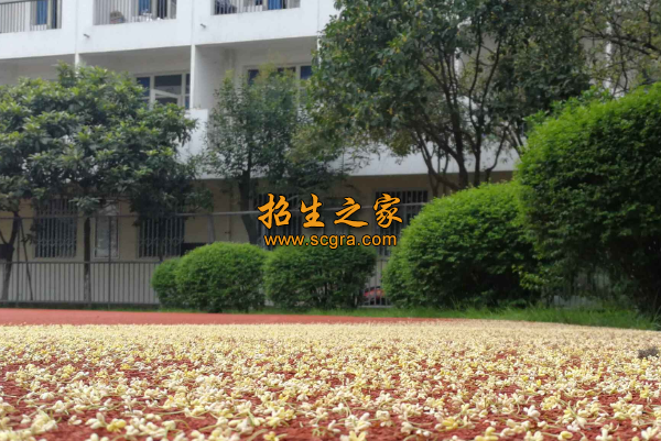 学校环境