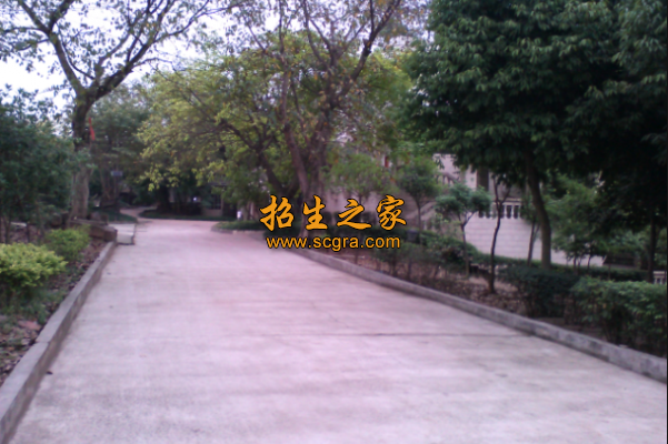 学校环境