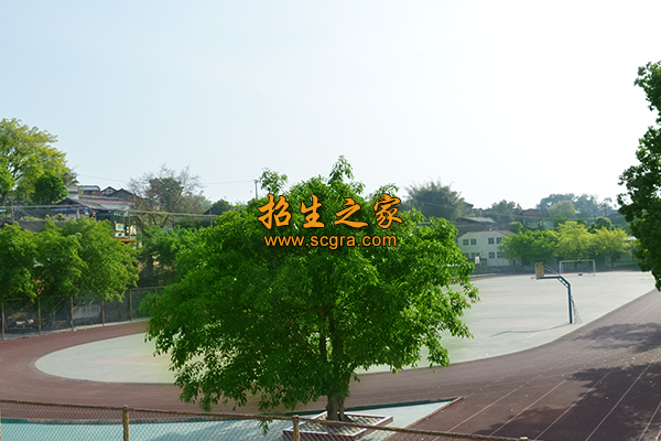 学校操场