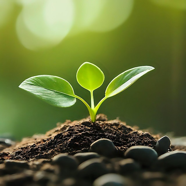 宜宾县柳加职业中学2025年招生录取分数线