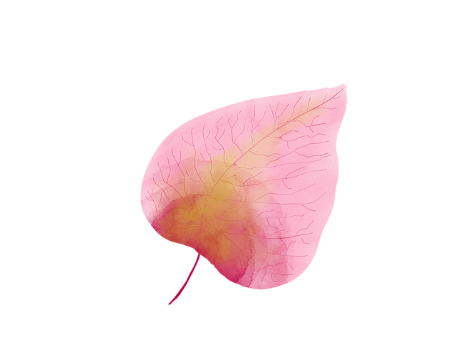 四川单招中职土木工程