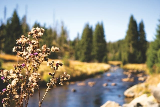 四川单招医药院校专业