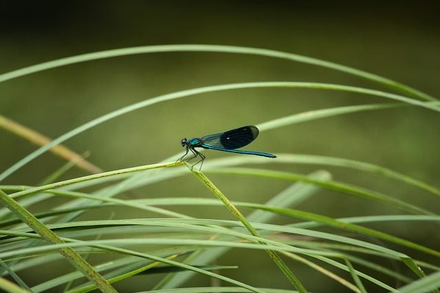 四川单招推荐学校分数