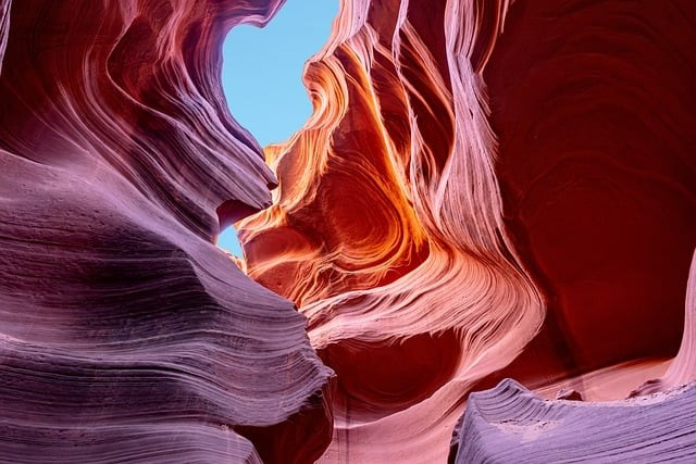 四川单招为什么压分