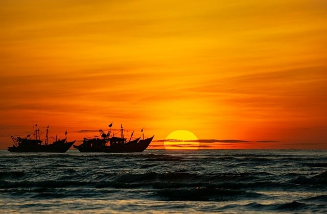 成都市七中育才学校初中部2025年招生简介