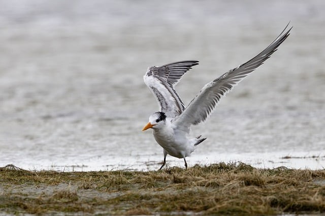 四川省工商职业技术学院2025年单独招生录取控制分