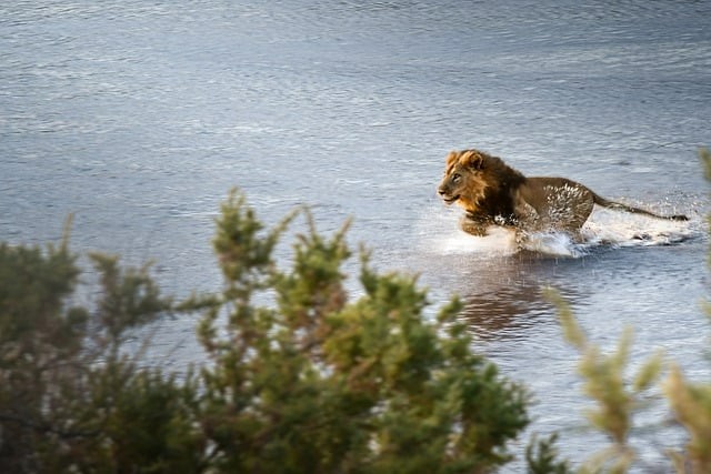 电子科技大学实验中学办学思想、办学成果、社团活动