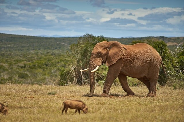 四川单招专科专业推荐
