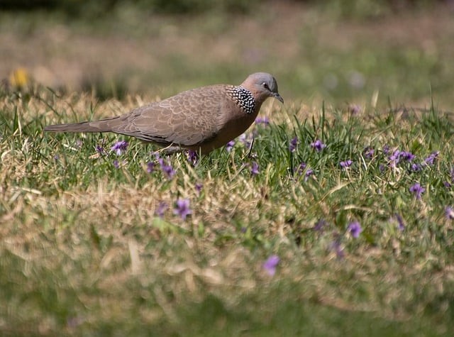 四川单招电子商务试卷
