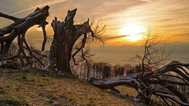 成都市电子信息学校学校简介