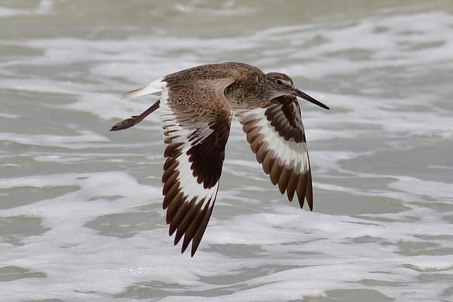 绵阳博远艺术职业学校2025年录取分数线