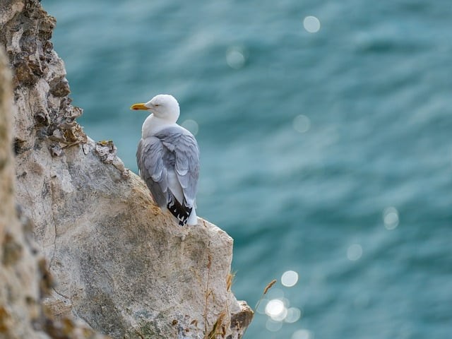 乐山四川单招学校