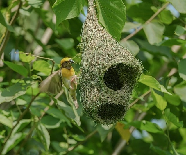 四川单招报名啥时候